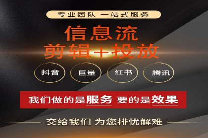 谷歌SEM案例研究：数据分析与效果评估